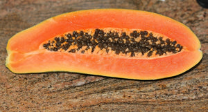 Organic Dried Papaya /10g
