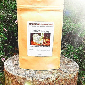 Lions Mane Mushroom Powder